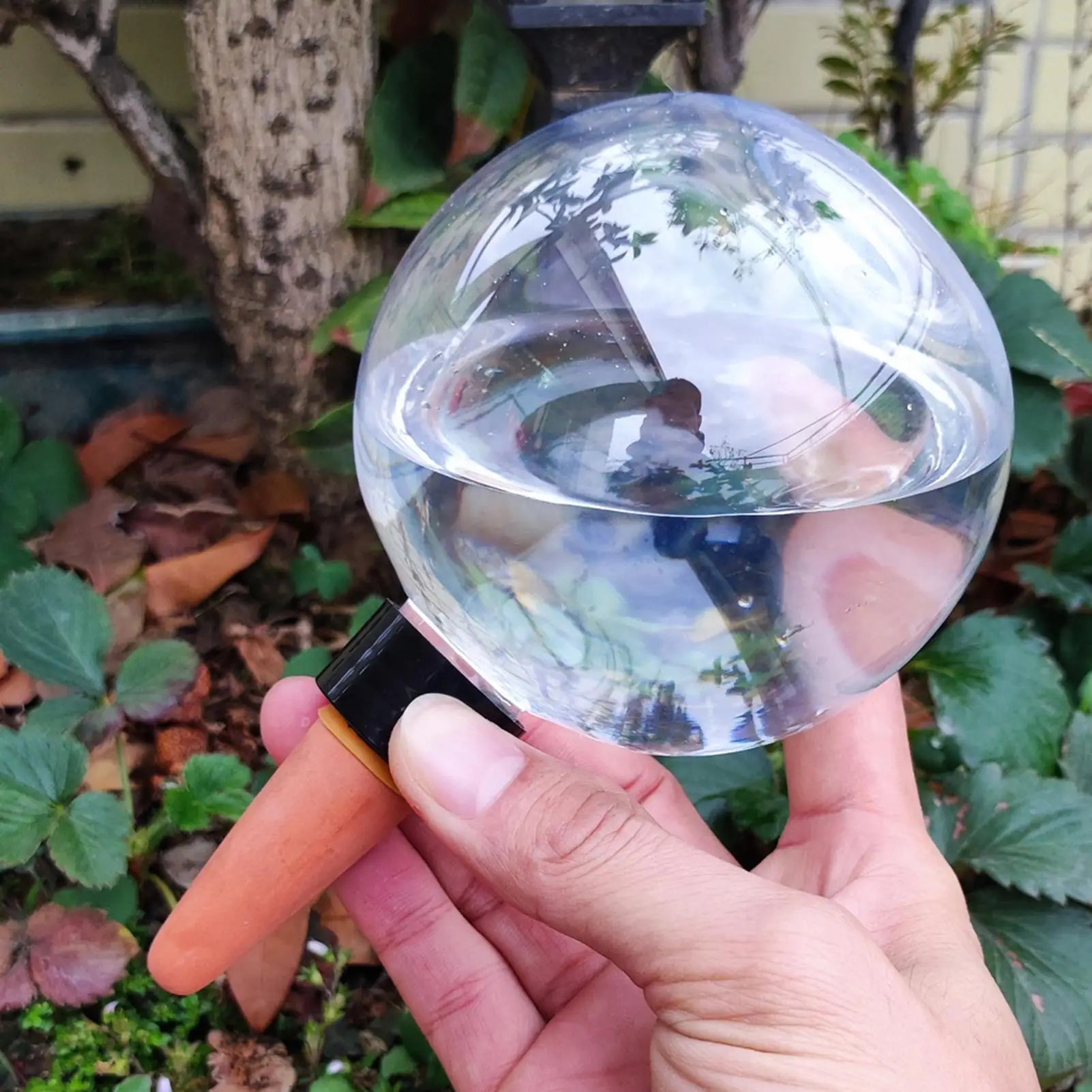 Plant Watering Globes 500ml Automatic Irrigation Dripper Automatic Garden Waterer for Indoor Outdoor Home Workplace Balcony Qme