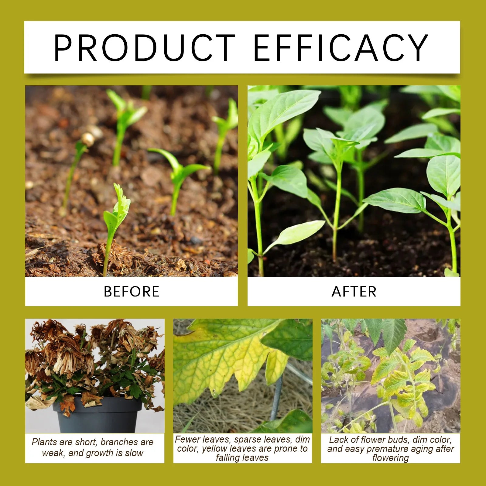 100ml Succulent Root Booster Potted Plant Nutrient Rapid Rooting Stimulator Fertilizer Supplement for Healthy Root Development Qme