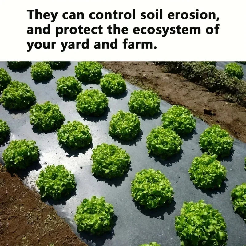 Grow Your Vegetables with Our High-Quality Black Plastic MulchFilm - Perfect for Greenhouses and Plant Protection! Qme