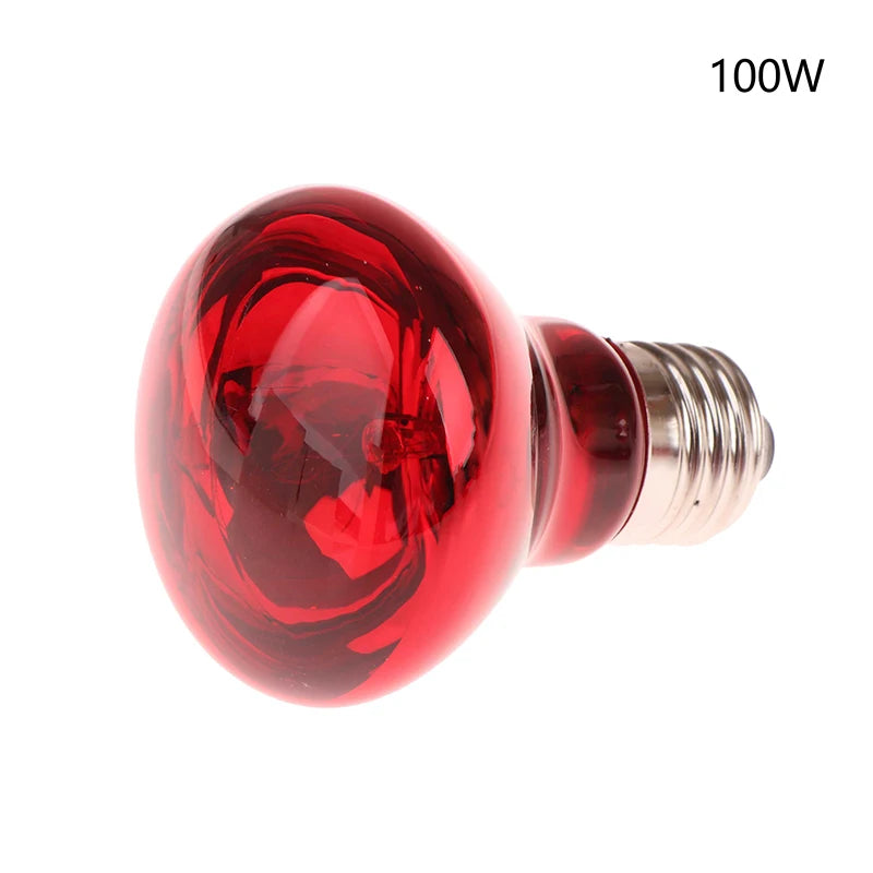 25 40 50 60 75 100W E27 UVA Poultry Bulb Infrared Night Light Day Qme 100W