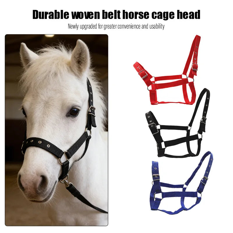 Adjustable Horse Bridle Reins Headstall Universal Fit Ponies Small Qme